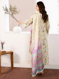 Bin Ilyas - Skin - Lawn Collection